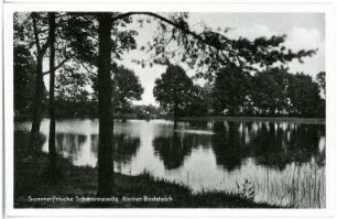 Schmannewitz. Kleiner Badeteich