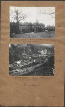 Im Walde von Bialowies: Abflösen von Holzstämmen