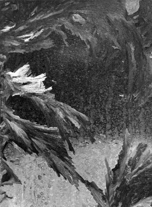 Eisblumen