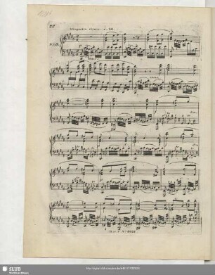 No. 5 Allegretto vivace
