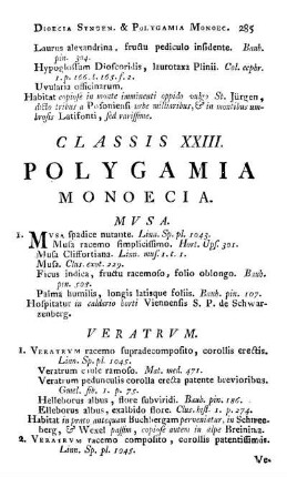 Classis XXIII. Polygamia Monoecia