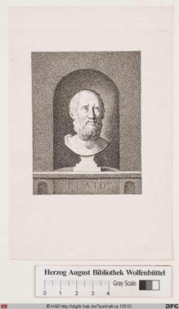 Bildnis Platon