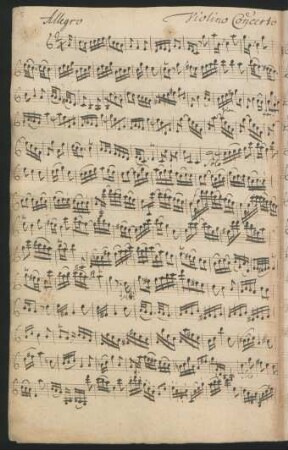 Violino concerto