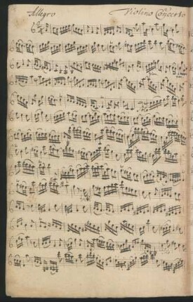 Violino concerto