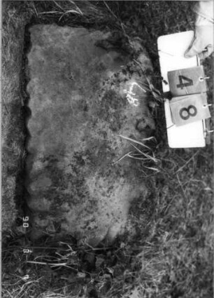 Grabstein 48 (Index: 100090054) Zustand: Fragment: Grabstein 48