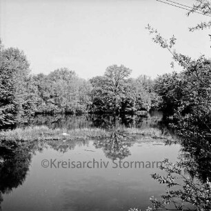 Lasbek-Gut: großer Mühlenteich: am Ufer Büsche und Bäume