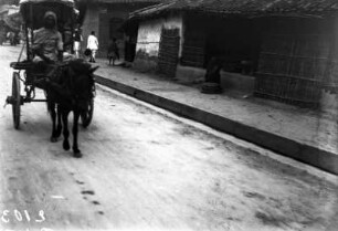 Tonga in Varanasi (Deutsche Indien-Expedition 1926/1929 - 6. Nordindien)