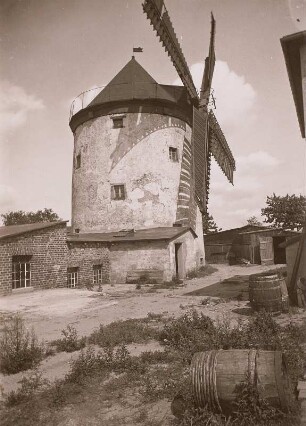 Holländerwindmühle : Pommritz. Holländerwindmühle