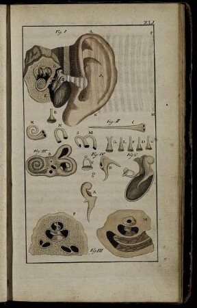 Zwanzigstes Stück. Sonnabends, den 20sten Mai 1797