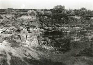 Plauenscher Grund. Steinbruch nordwestlich von Dresden-Coschütz. Syenitkonglomerate über Sandstein, z.T. in Wechsellagerung (Transgression des Kreidemeeres)