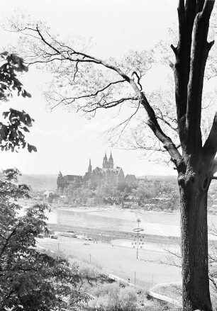Meißen. Blick vom Katzensprung über die Elbe auf Albrechtsburg und Dom