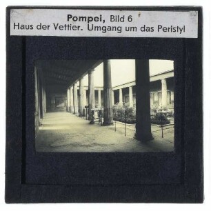 Pompei, Haus der Vettier