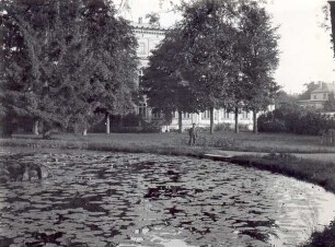 Teich mit Wasserrosen im Palaisgarten, im Hintergrund das Palais in Detmold. Detmold. Neustadt. Papierabzug