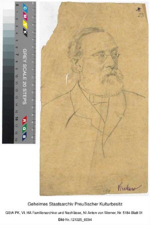 Portraitstudie: Virchow