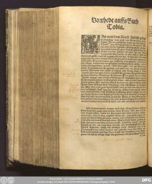 Vorrhede auffs buch Tobia.