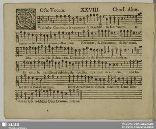 XXVIII. Quam dilecta tabernacula