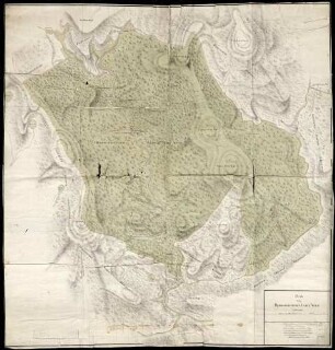 Plan über den herrschafftlichen Lehen-Wald bey Herrenwies