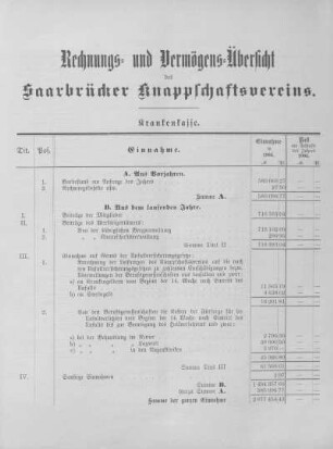 Rechnungs- und Vermögens-Übersicht