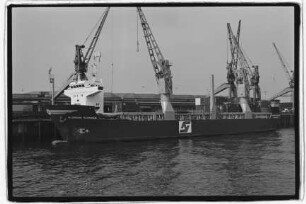 Sloman Runner (1979), Sloman-Neptun Schiffahrts AG, Bremen