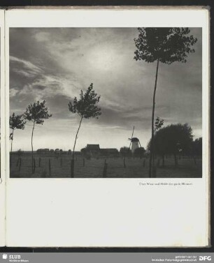 Wiese und Heide