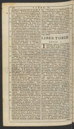 Liber Tobiae.