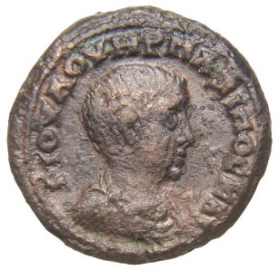 Alexandria: Maximus