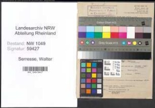 Entnazifizierung Walter Serresse , geb. 30.01.1905 (Ingenieur)