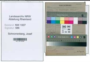 Entnazifizierung Josef Schnorrenberg , geb. 11.12.1898 (Sattler)