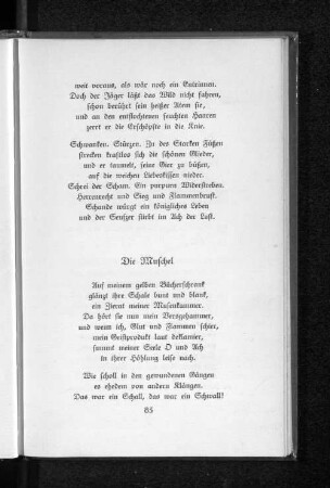 Die Muschel