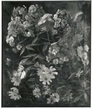 Phlox : Gelbke, Georg: Phlox. Öl auf Leinwand; 72 x 60 cm. Privatbesitz