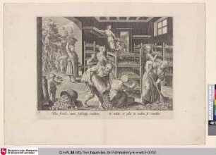 [Das Sammeln von Maulbeerblättern und die Fütterung der Seidenraupen; The gathering of mulberry leaves and the feeding of the silkworms]