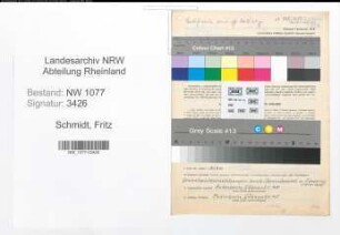 Entnazifizierung Fritz Schmidt , geb. 30.07.1894 (Polizist)