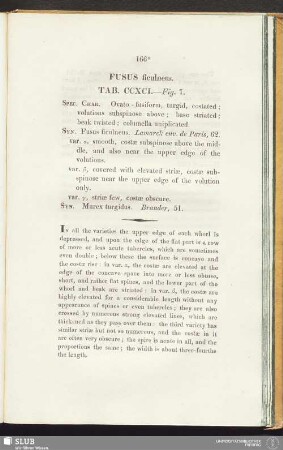 Fusus ficulneus. Tab. CCXCI. — Fig. 7