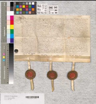 Johan, Henrich und Hans von Exter, des verstorbenen Simon Söhne, sämtlich Gevettern von Exter zu Detmold und Pottenhausen, schließen einen Vergleich wegen ihrer Lehn- und Stammgüter, zu Gunsten ihrer Witwen.