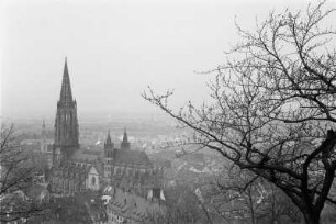 Freiburger Münster : Ansicht vom Freiburger Münster.