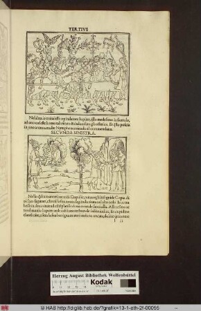 2 Abbildungen: 1. [Triumphzug mit Danae und Einhörnern] 2. [Jupiter bekommt das Kind gereicht und bringt es zu seinen Eltern]
