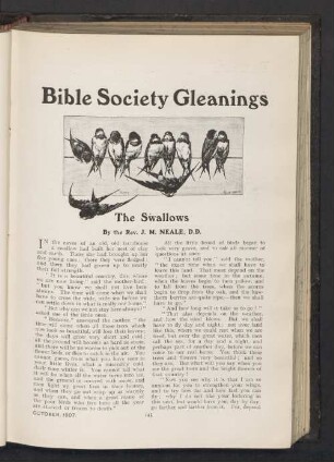 The Swallows