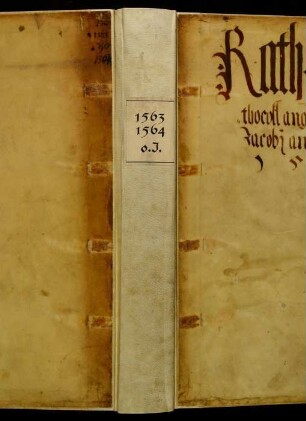 Ratsprotokolle, 1563 Aug. 3. - 1564 Juli 30.