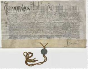 Papst Innocens VIII. bestätigt "privilegium de non evocando" [lat].