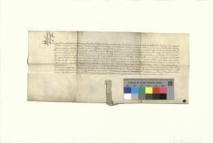 Kurfürst Johann Georg, Markgraf von Brandenburg, bestätigt der Stadt Bernau ihre Rechte und Freiheiten.