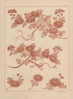 Plate 24