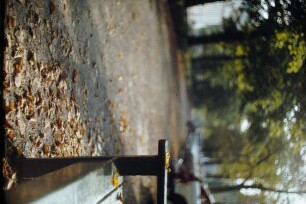 Allee, trübes Wetter, Bank mit Laub, Detmold; farbig