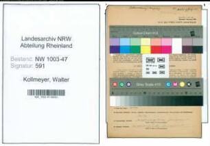 Entnazifizierung Walter Kollmeyer , geb. 02.05.1907 (Ingenieur)