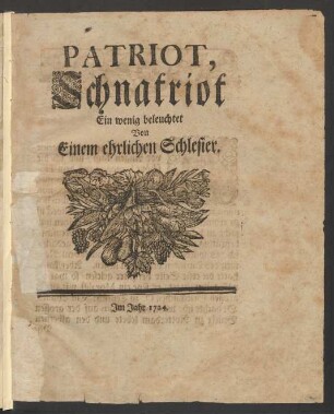 Patriot, Schnatriot