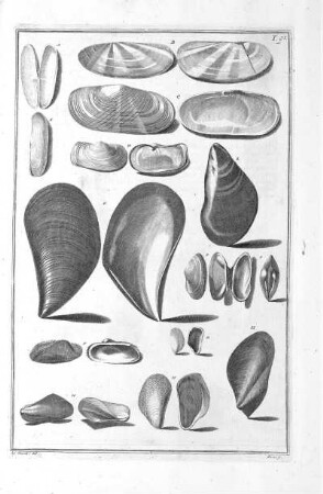 Tab. 91