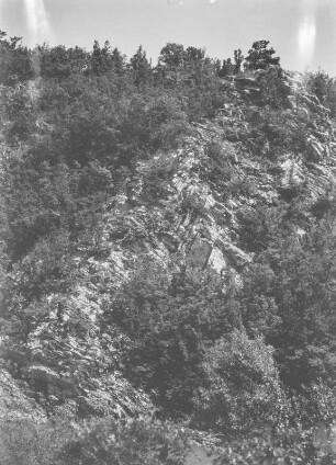Berghang : Vegetation an einem Berghang.