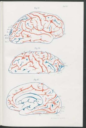 Fig. 13 - Fig. 15