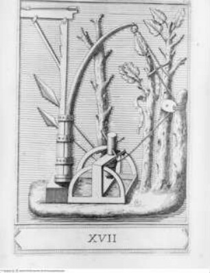 Memorie concernenti la città di Urbino dedicate alla Sagra Real Maestà di Giacomo III Re della Gran Bretagna, Kriegsgsgerät; (Blatt 17)