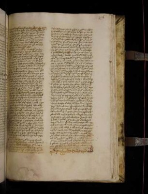 In circumcisione domini. (T8). Quoniam secundum Gregorium omnis Christi actio ymmo et passio nostra est pro modulo nostro nostra intructio …