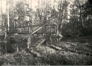 Brücke in Burg : Landschaft - Spreewald. Ort: Bórkowy / Burg-Spreewald. Steg